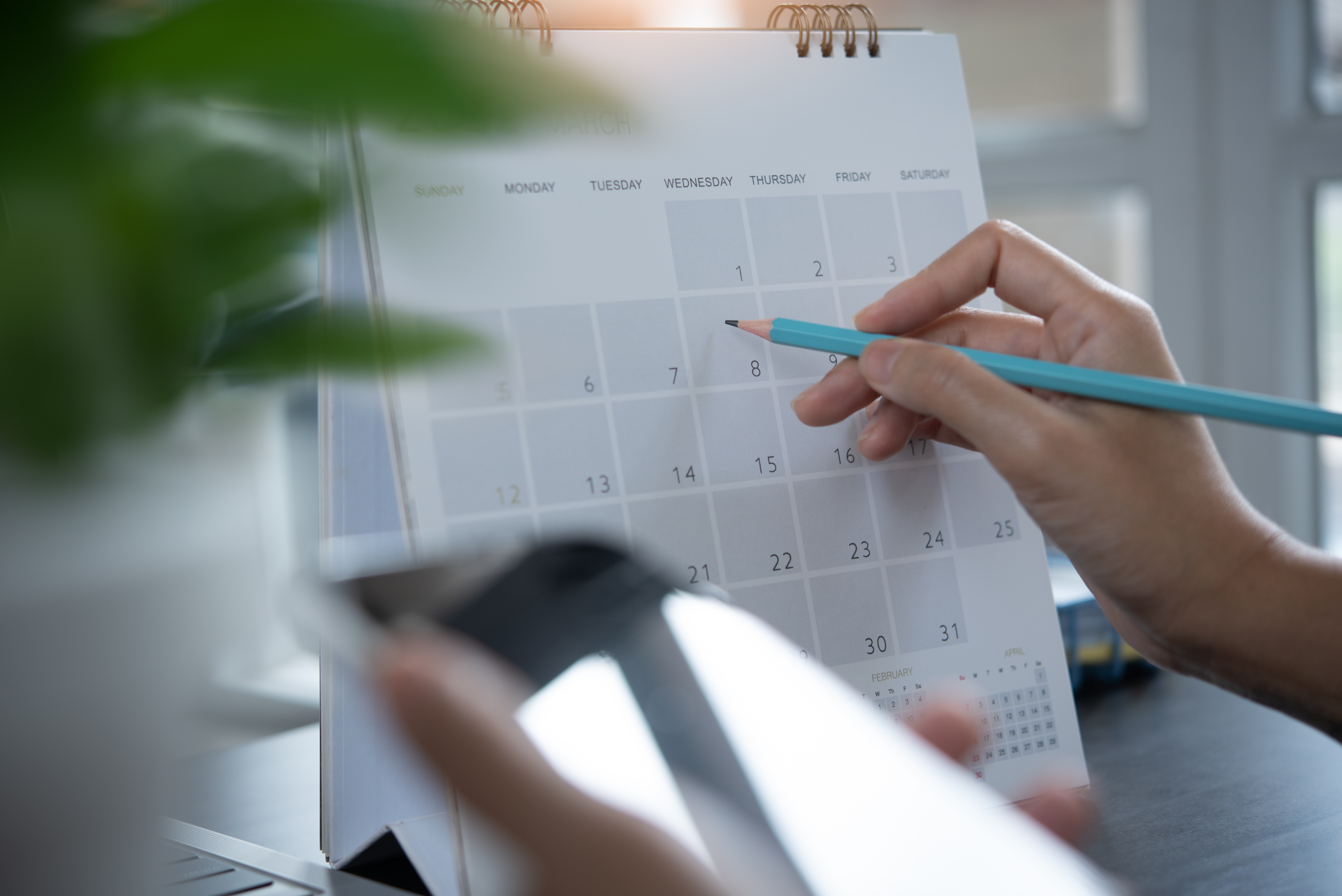 Content planning and scheduling system